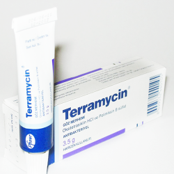 Terramycin Pet Eye Ointment Ophthalmic Cream Terramycin Pet Eye Ointment Ophthalmic Cream
